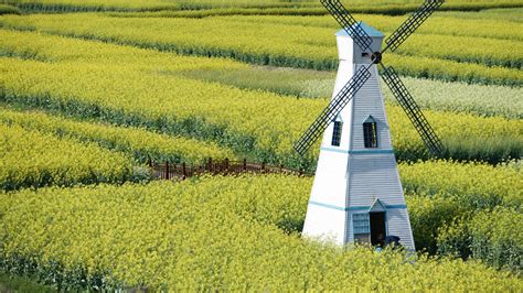 AED 845 Cheap Flights from Dubai to China .